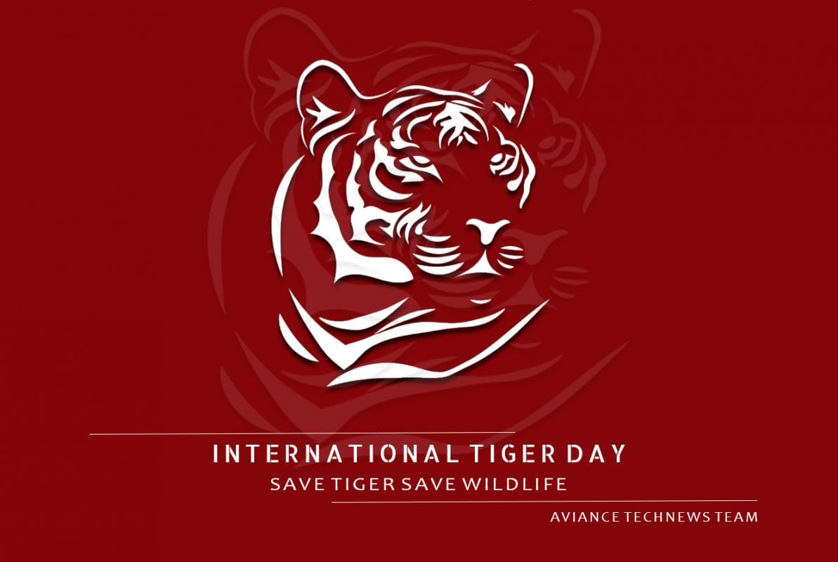 International Tiger Day 2020 History and Significance
