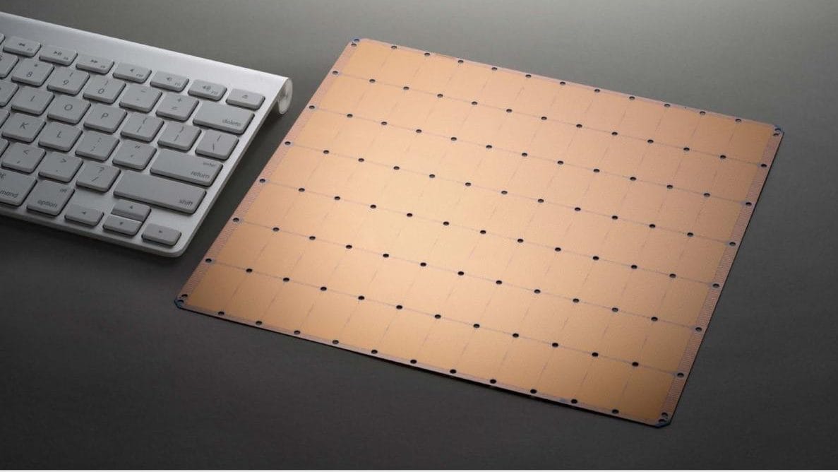 cerebras-1-100808712-large