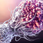 Amazing Discovery: Immune Cell Found for Potential Universal Cancer Treatment