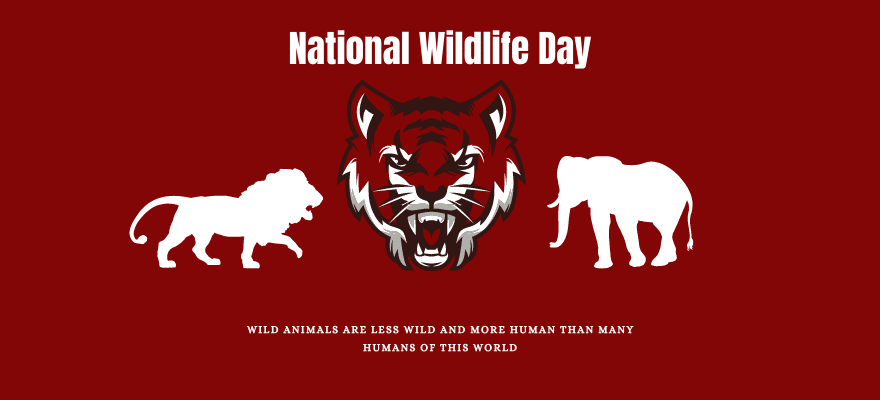 national-wildlife-day