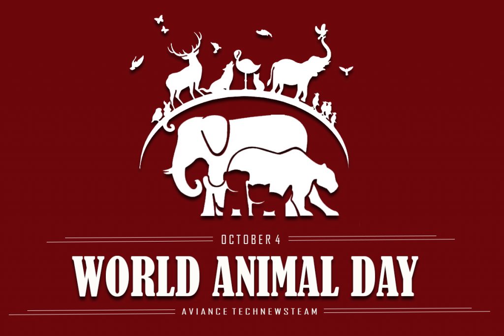 world-animal-day-2020