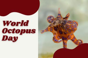 world-octopus-day-2020