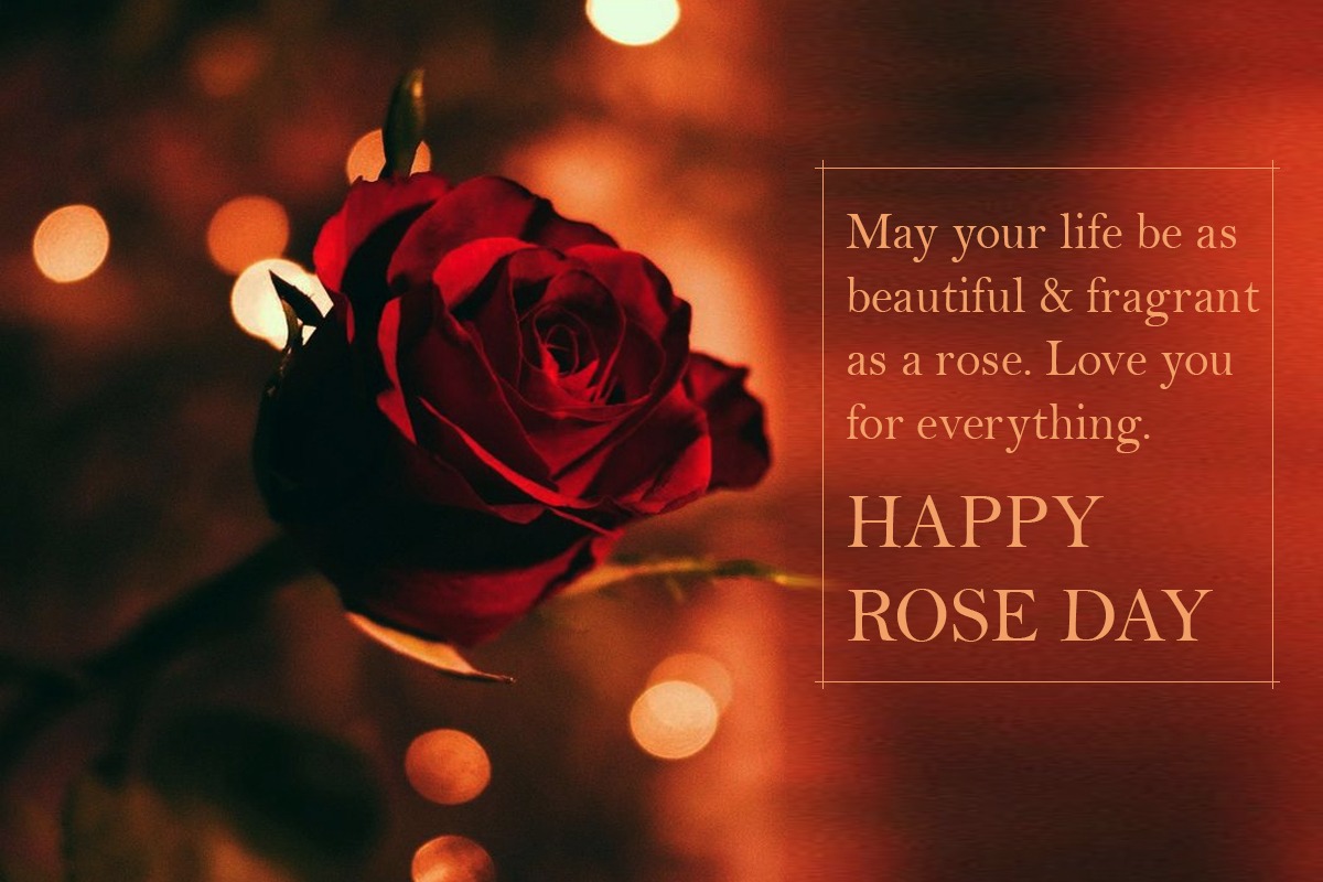 Happy Rose Day 2022: Wishes, Messages, Quotes, Images, and ...